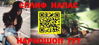 МДПВ Камышлов