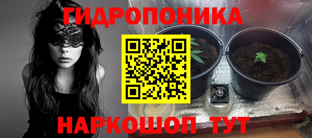 Марихуана план  Вход с VPN  МАРИХУАНА гибрид  Канабис ГИДРОПОН  Кунгур 